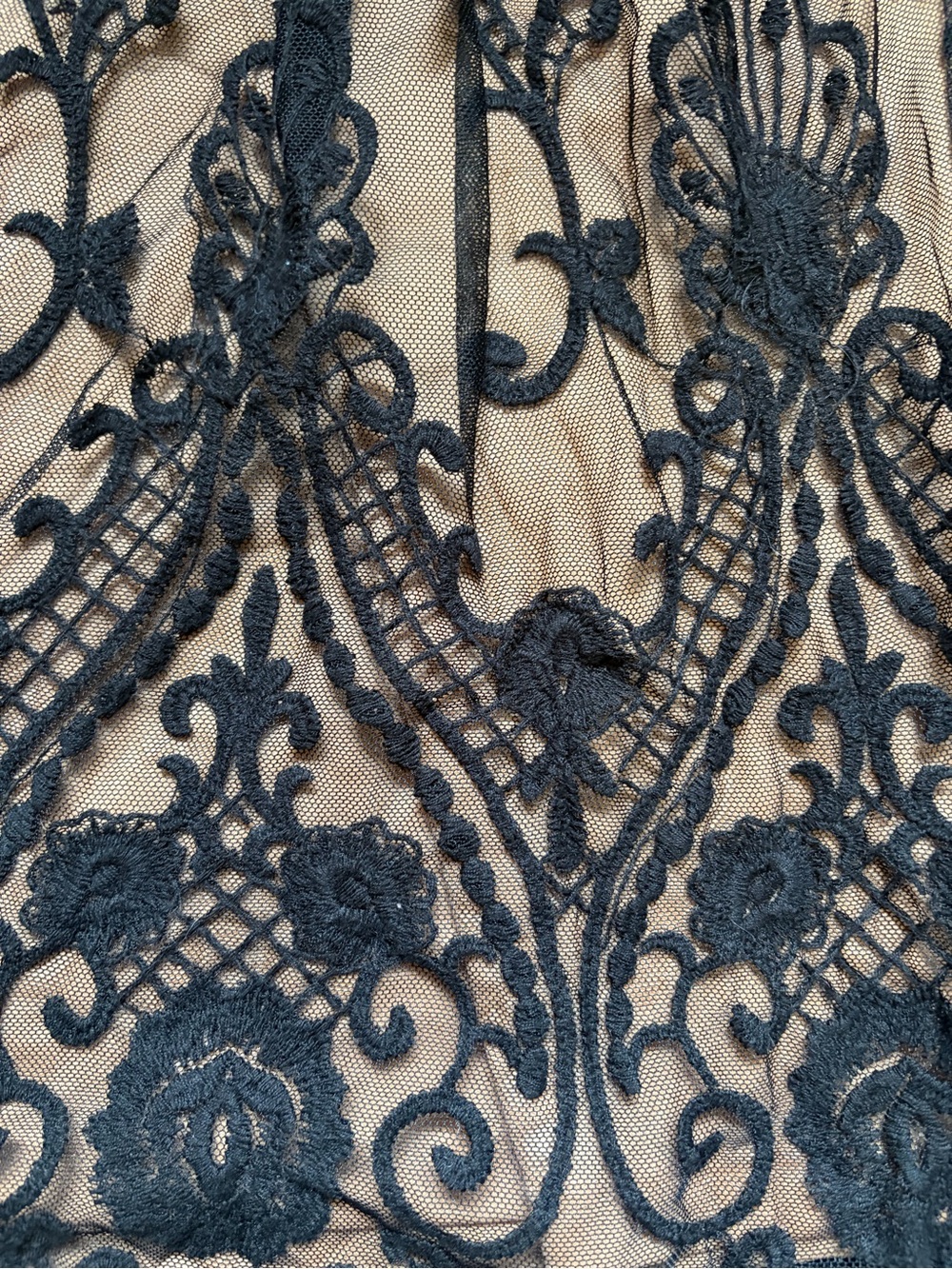 Lapis Black Lace Overlay A-Line Skirt with Nude Underlayer - Picture 3 of 6